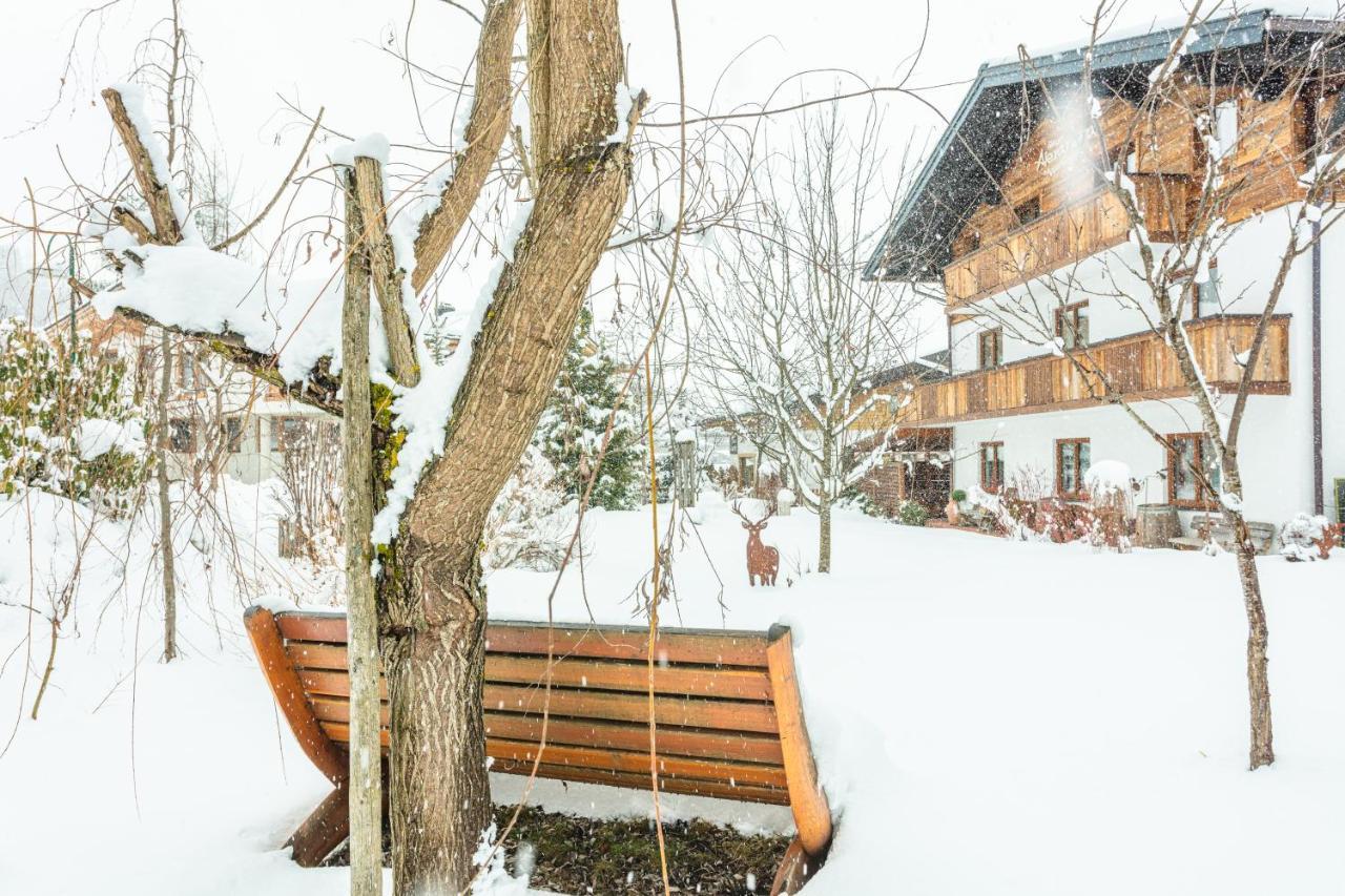 Haus Alexandra Apartment Werfenweng Exterior photo